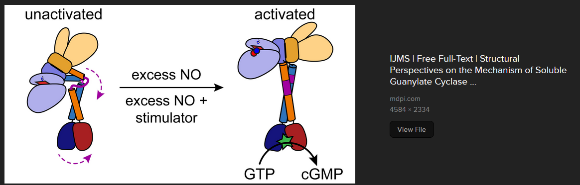 light and soluble guanylyl cyclase