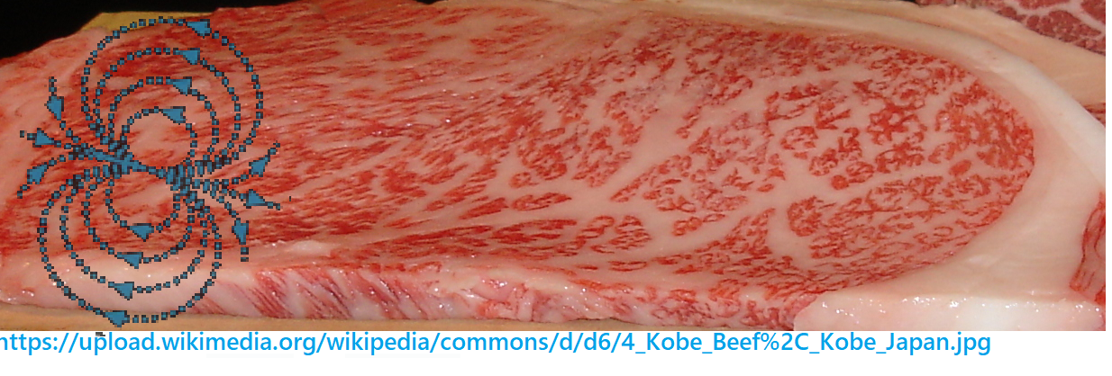 PEMF muscle fat
