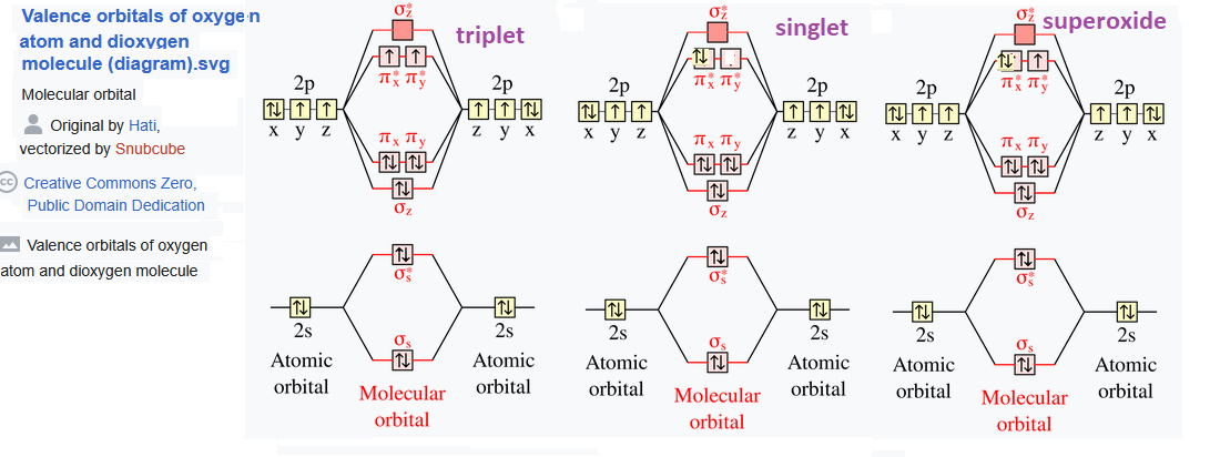orbitals of triplet and singlet oygen plus superoxide