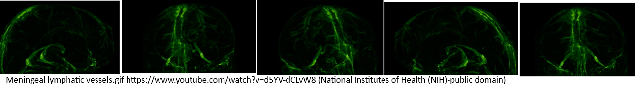 Protected: Photobiomodulation study written by AI
